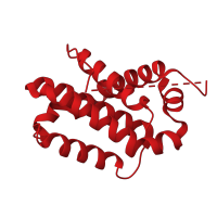 The deposited structure of PDB entry 1pq1 contains 1 copy of CATH domain 1.10.437.10 (Apoptosis Regulator Bcl-x) in Bcl-2-like protein 1. Showing 1 copy in chain A.