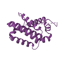 The deposited structure of PDB entry 1pq1 contains 1 copy of SCOP domain 56855 (Bcl-2 inhibitors of programmed cell death) in Bcl-2-like protein 1. Showing 1 copy in chain A.