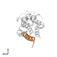Bcl-2-like protein 11 in PDB entry 1pq1, assembly 1, side view.