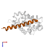 Bcl-2-like protein 11 in PDB entry 1pq1, assembly 1, top view.