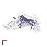 Reaction center protein M chain in PDB entry 1prc, assembly 1, top view.