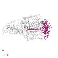 Reaction center protein H chain in PDB entry 1prc, assembly 1, front view.