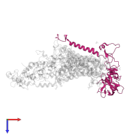 Reaction center protein H chain in PDB entry 1prc, assembly 1, top view.