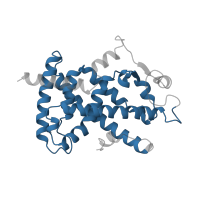 The deposited structure of PDB entry 1prg contains 2 copies of Pfam domain PF00104 (Ligand-binding domain of nuclear hormone receptor) in Peroxisome proliferator-activated receptor gamma. Showing 1 copy in chain A.