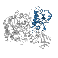 The deposited structure of PDB entry 1ps9 contains 1 copy of CATH domain 3.40.50.720 (Rossmann fold) in 2,4-dienoyl-CoA reductase [(2E)-enoyl-CoA-producing]. Showing 1 copy in chain A.