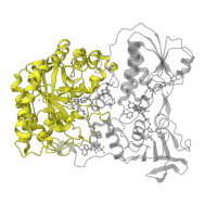 The deposited structure of PDB entry 1ps9 contains 1 copy of SCOP domain 51396 (FMN-linked oxidoreductases) in 2,4-dienoyl-CoA reductase [(2E)-enoyl-CoA-producing]. Showing 1 copy in chain A.