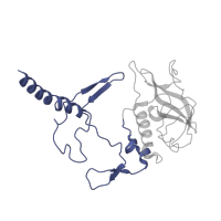 The deposited structure of PDB entry 1pss contains 1 copy of CATH domain 4.10.540.10 (Photosynthetic Reaction Center; Chain H, domain 1) in Reaction center protein H chain. Showing 1 copy in chain C [auth H].