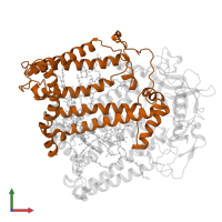 Reaction center protein M chain in PDB entry 1pst, assembly 1, front view.