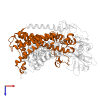 Reaction center protein M chain in PDB entry 1pst, assembly 1, top view.