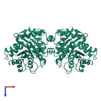 Parathion hydrolase in PDB entry 1pta, assembly 1, top view.
