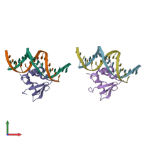 PDB entry 1pue coloured by chain, front view.