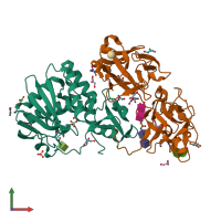 PDB entry 1pum coloured by chain, front view.
