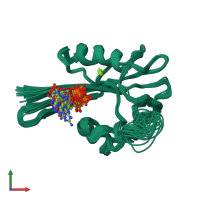 PDB entry 1pun coloured by chain, ensemble of 20 models, front view.