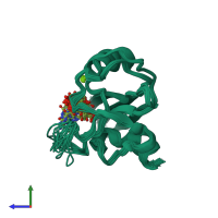 PDB entry 1pun coloured by chain, ensemble of 20 models, side view.