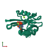 PDB entry 1pus coloured by chain, ensemble of 20 models, front view.