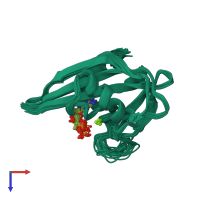PDB entry 1pus coloured by chain, ensemble of 20 models, top view.