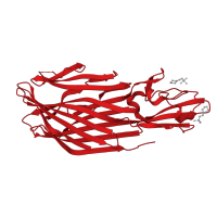 The deposited structure of PDB entry 1pvl contains 1 copy of CATH domain 2.70.240.10 (Leukocidin-like) in Leukocidin/Hemolysin toxin domain-containing protein. Showing 1 copy in chain A.