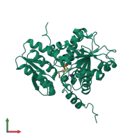 Monomeric assembly 2 of PDB entry 1pwh coloured by chemically distinct molecules, front view.