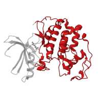 The deposited structure of PDB entry 1pxi contains 1 copy of CATH domain 1.10.510.10 (Transferase(Phosphotransferase); domain 1) in Cyclin-dependent kinase 2. Showing 1 copy in chain A.