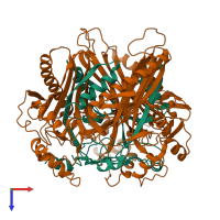 Hetero hexameric assembly 1 of PDB entry 1pya coloured by chemically distinct molecules, top view.
