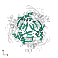 Histidine decarboxylase beta chain in PDB entry 1pya, assembly 1, front view.