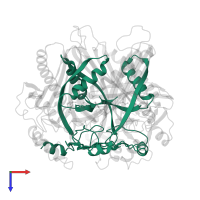 Histidine decarboxylase beta chain in PDB entry 1pya, assembly 1, top view.