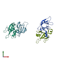 PDB entry 1pyb coloured by chain, front view.