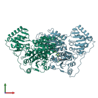 PDB entry 1pyd coloured by chain, front view.