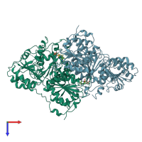 PDB entry 1pyd coloured by chain, top view.