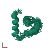 PDB entry 1pyv coloured by chain, ensemble of 24 models, front view.