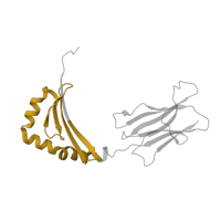 The deposited structure of PDB entry 1pyw contains 1 copy of Pfam domain PF00969 (Class II histocompatibility antigen, beta domain) in HLA class II histocompatibility antigen, DRB1 beta chain. Showing 1 copy in chain B.