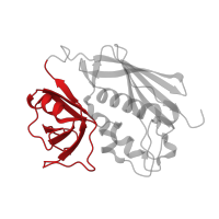 The deposited structure of PDB entry 1pyw contains 1 copy of CATH domain 2.40.50.110 (OB fold (Dihydrolipoamide Acetyltransferase, E2P)) in Enterotoxin type C-3. Showing 1 copy in chain D.