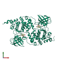 Homo dimeric assembly 1 of PDB entry 1pyx coloured by chemically distinct molecules, front view.