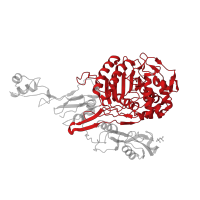 The deposited structure of PDB entry 1pyy contains 1 copy of CATH domain 3.40.710.10 (Beta-lactamase) in Penicillin-binding protein 2X. Showing 1 copy in chain A.