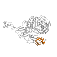 The deposited structure of PDB entry 1pyy contains 1 copy of Pfam domain PF03793 (PASTA domain) in Penicillin-binding protein 2X. Showing 1 copy in chain A.