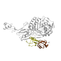The deposited structure of PDB entry 1pyy contains 2 copies of SCOP domain 54185 (Penicillin-binding protein 2x (pbp-2x), c-terminal domain) in Penicillin-binding protein 2X. Showing 2 copies in chain A.