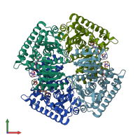 PDB entry 1pzf coloured by chain, front view.