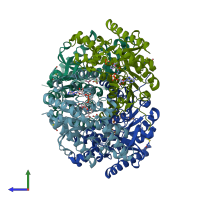 PDB entry 1pzg coloured by chain, side view.