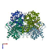 PDB entry 1pzg coloured by chain, top view.