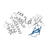 The deposited structure of PDB entry 1q12 contains 4 copies of CATH domain 2.40.50.140 (OB fold (Dihydrolipoamide Acetyltransferase, E2P)) in Maltose/maltodextrin import ATP-binding protein MalK. Showing 1 copy in chain A.