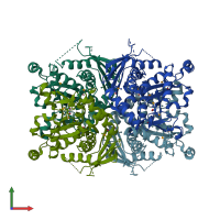 PDB entry 1q1l coloured by chain, front view.