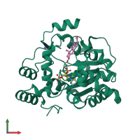 PDB entry 1q20 coloured by chain, front view.
