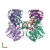 PDB entry 1q2s coloured by chain, front view.