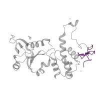 The deposited structure of PDB entry 1q3b contains 1 copy of Pfam domain PF06827 (Zinc finger found in FPG and IleRS) in Endonuclease 8. Showing 1 copy in chain A.