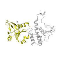 The deposited structure of PDB entry 1q3b contains 1 copy of SCOP domain 81623 (N-terminal domain of MutM-like DNA repair proteins) in Endonuclease 8. Showing 1 copy in chain A.