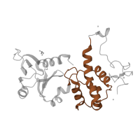 The deposited structure of PDB entry 1q3b contains 1 copy of SCOP domain 81626 (Middle domain of MutM-like DNA repair proteins) in Endonuclease 8. Showing 1 copy in chain A.