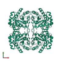 2-dehydro-3-deoxyphosphooctonate aldolase in PDB entry 1q3n, assembly 1, front view.