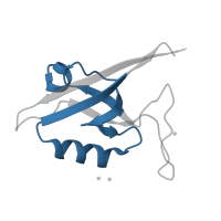 The deposited structure of PDB entry 1q3o contains 2 copies of Pfam domain PF17820 (PDZ domain) in SH3 and multiple ankyrin repeat domains protein 1. Showing 1 copy in chain A.