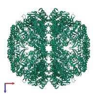 Thermosome subunit alpha in PDB entry 1q3s, assembly 1, top view.