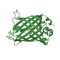 The deposited structure of PDB entry 1q4b contains 1 copy of SCOP domain 54512 (Fluorescent proteins) in Green fluorescent protein. Showing 1 copy in chain A.